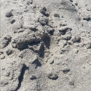 Meet your Posher, Jack